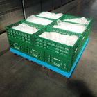 Caisse en plastique verte 600x400x220cm de stockage pour le légume fruit