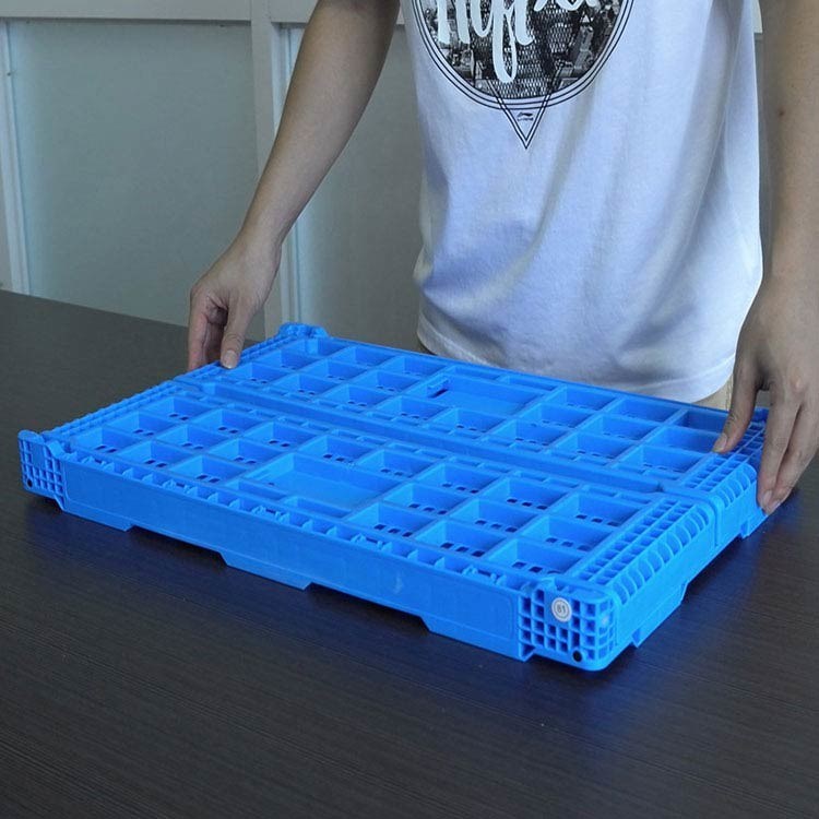 Caisse en plastique de fruit de taille de vert multiple de pliage pour le supermarché
