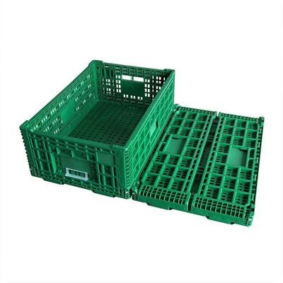 Qualité Caisses en plastique pliantes vertes de fruit portatives pour des achats à domicile usine